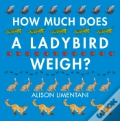 Capa do artigo How Much Does A Ladybird Weigh?