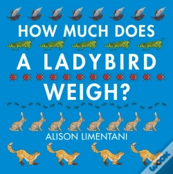 Capa do artigo How Much Does A Ladybird Weigh?