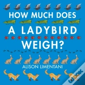 Capa do artigo How Much Does A Ladybird Weigh?
