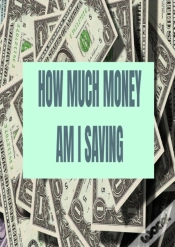 Capa do artigo How Much Money Am I Saving: Finance