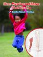 How Muscles And Bones Hold You Up - Preview