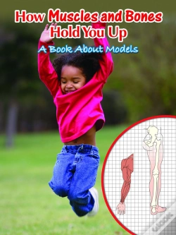 Capa do artigo How Muscles And Bones Hold You Up