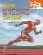 How Muscles Work - Preview