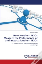 How Northern Ngos Measure The Performanc