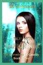 How Not To Be A Vampire Hunter - Preview