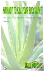 How Not To Kill Your Succulent