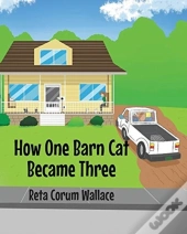 How One Barn Cat Became Three