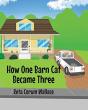 How One Barn Cat Became Three - Preview