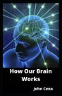 How Our Brain Works - Preview