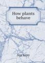 How Plants Behave - Preview