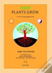 How Plants Grow
