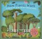 How Plants Work - Preview