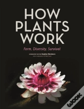 How Plants Work