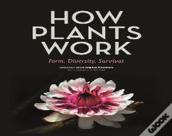 How Plants Work
