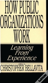 How Public Organizations Work