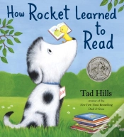 Capa do artigo How Rocket Learned To Read