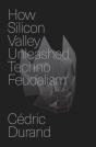 How Silicon Valley Unleashed Techno-Feudalism - Preview