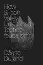 How Silicon Valley Unleashed Techno-Feudalism - Preview