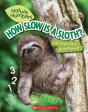 How Slow Is A Sloth?: Measure The Rainforest (Nature Numbers) - Preview
