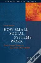 How Small Social Systems Work