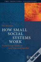 How Small Social Systems Work