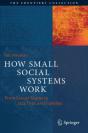 How Small Social Systems Work - Preview