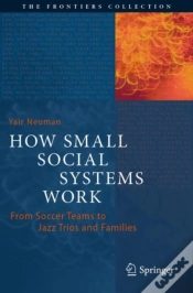 Capa do artigo How Small Social Systems Work