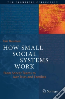 Capa do artigo How Small Social Systems Work