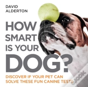 Capa do artigo How Smart Is Your Dog?