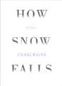 How Snow Falls - Preview