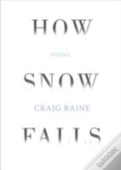 How Snow Falls