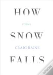 Capa do artigo How Snow Falls