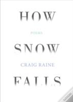 Capa do artigo How Snow Falls