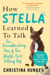 Capa do artigo How Stella Learned To Talk