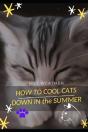 How TãÅ¾ Cool Cats Down ÃÂ€ N ThãÂµ Summer - Preview