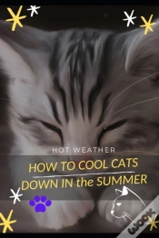 Capa do artigo How TãÅ¾ Cool Cats Down ÃÂ€ N ThãÂµ Summer