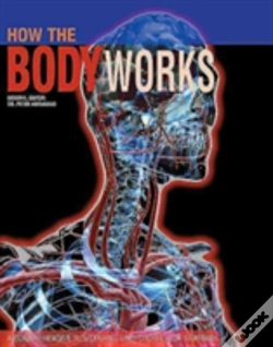 Capa do artigo How The Body Works
