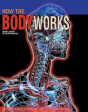 How The Body Works - Preview