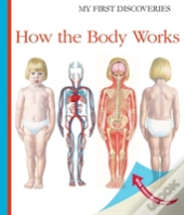 How The Body Works