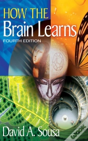 Capa do artigo How The Brain Learns