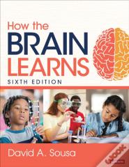How The Brain Learns