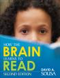 How The Brain Learns To Read - Preview