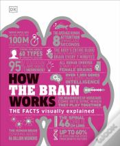 How The Brain Works
