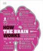 How The Brain Works - Preview