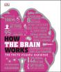 How The Brain Works - Preview