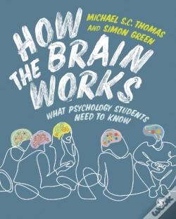 Capa do artigo How The Brain Works