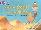Capa do artigo How The Camel Got His Hump