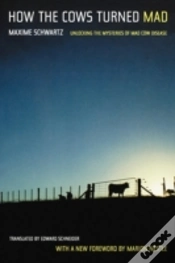 Capa do artigo How The Cows Turned Mad