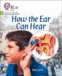 How The Ear Can Hear - Preview