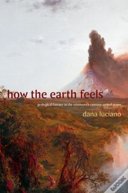 Capa do artigo How The Earth Feels
